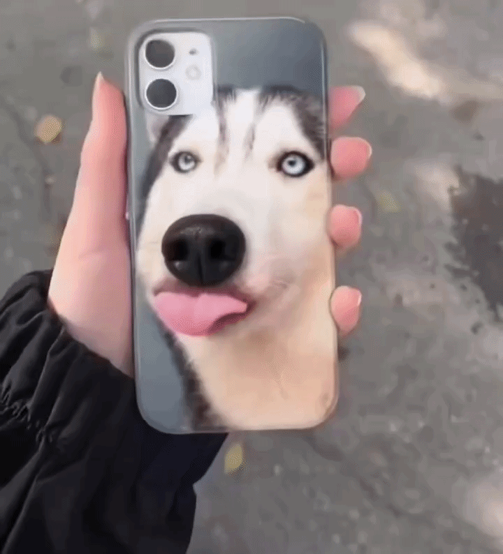 One Case,